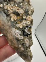 8th Vein Ocean Jasper Slab #30
