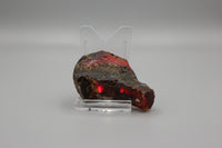 Raw Amber Specimen #14