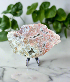 8th Vein Ocean Jasper Slab #127