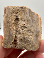 Druzy Quartz Haunted Ridge Rocks MO #8
