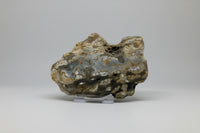 8th Vein Ocean Jasper Slab #29
