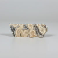 6th Vein Ocean Jasper Polished Freeform #27