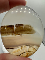 Designer Dendritic Agate Cabochon #4
