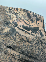 Nevada Picture Jasper Slab #2 - Old Stock