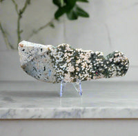 8th Vein Ocean Jasper Slab #119