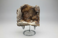 Withlacoochee River Agatized Coral #4