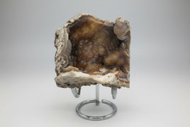 Withlacoochee River Agatized Coral #4