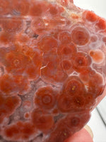 8th Vein Ocean Jasper Slab #56