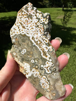 8th Vein Ocean Jasper Slab #90