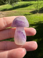 Colorful Fluorite Mushroom Carving #11