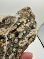 8th Vein Ocean Jasper Slab #30