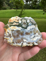 8th Vein Ocean Jasper Slab #120