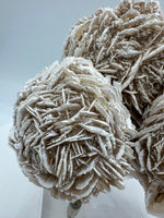 Selenite "Desert Rose," Samalayuka Desert, Chihuahua, Mexico #2