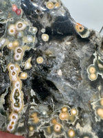 8th Vein Ocean Jasper Slab #19