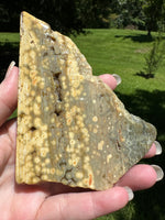 8th Vein Ocean Jasper Slab #99