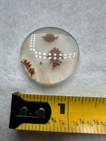 Scenic Dendritic Agate Cabochon #7