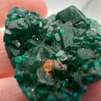 Green Dioptase from Reneville, DR Congo Specimen #2