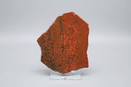 8th Vein Ocean Jasper Slab #86
