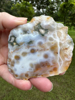 8th Vein Ocean Jasper Slab #120