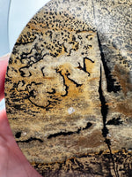 Natural Picture Jasper Slab with Stand #11