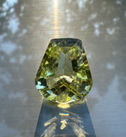 Fancy Checker Prasiolite 20x18mm 28.70ct