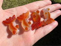 Carved Carnelian Agate Goldfish #3
