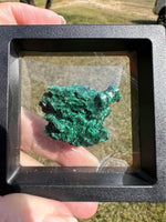 Malachite Specimen with Case