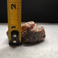 Madagascar Raw Amber Specimen #8