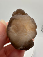 Panda Agate aka Truffle Chalcedony #5