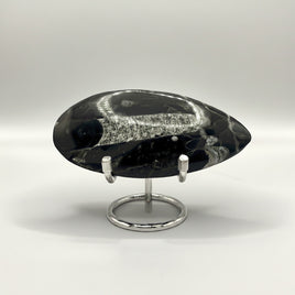 Natural Orthoceras Fossil Specimen #14