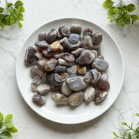 Botswana Agate Rough Tumble