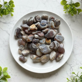 Botswana Agate Rough Tumble