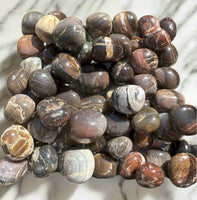 Petrified Wood Tumbles
