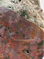 8th Vein Ocean Jasper Slab #17