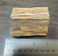 Petrified Wood Specimen #2