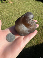 Panda Agate aka Truffle Chalcedony #11