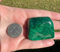 Polished Malachite Freeform #12