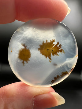 Scenic Dendritic Agate Cabochon #7