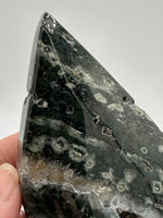 7th Vein Ocean Jasper Arrow Shape Tower #2