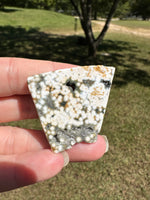 Ocean Jasper Free-form #7