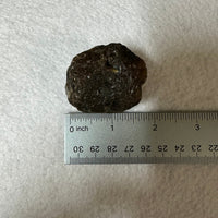 Raw Amber Specimen #10