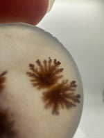 Scenic Dendritic Agate Cabochon #9