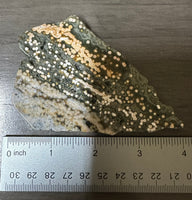 8th Vein Ocean Jasper Slab #83