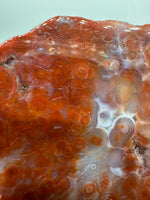 8th Vein Ocean Jasper Slab #56