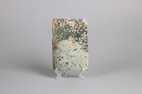 8th Vein Ocean Jasper Slab #96