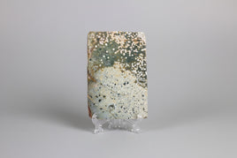 8th Vein Ocean Jasper Slab #96