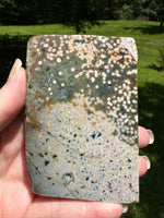 8th Vein Ocean Jasper Slab #96