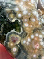 8th Vein Ocean Jasper Slab #13