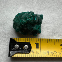 Green Dioptase from Republic of Congo Specimen #3