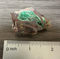 Conichalcite, 0juela, Mapimi, Durango, Mexico
